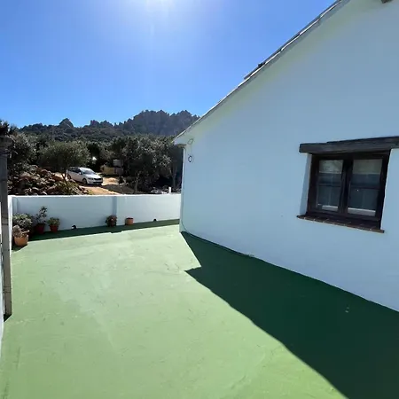 Bolonia Apartment *