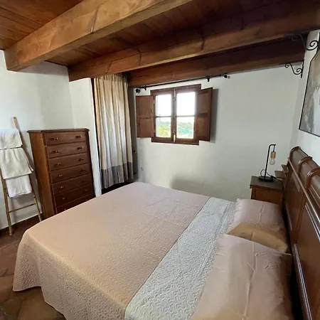 Bolonia Apartment
