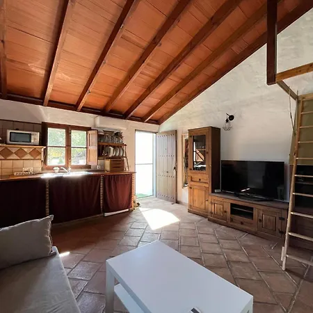 Bolonia Apartment *